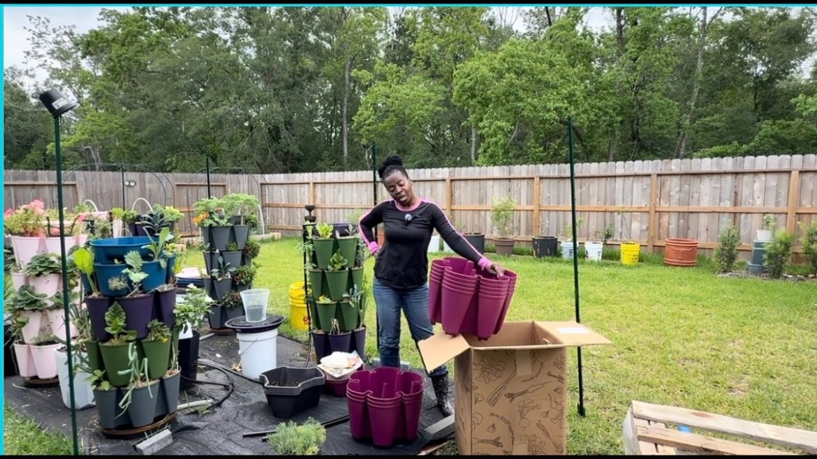 GreenStalk Unboxing/ Planter Plans + Raw Land Chat