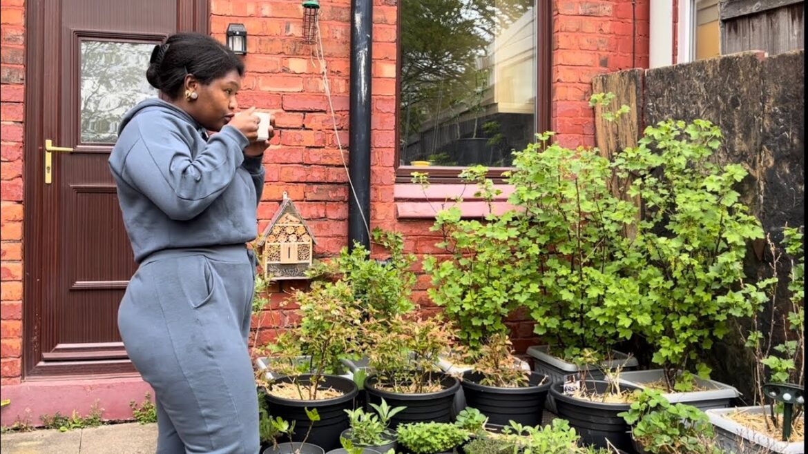 UK Spring Container Garden Tour - Week 2✨