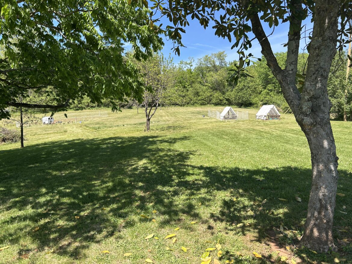 Pasture Water Supply Ideas Pasture Water Supply Ideas