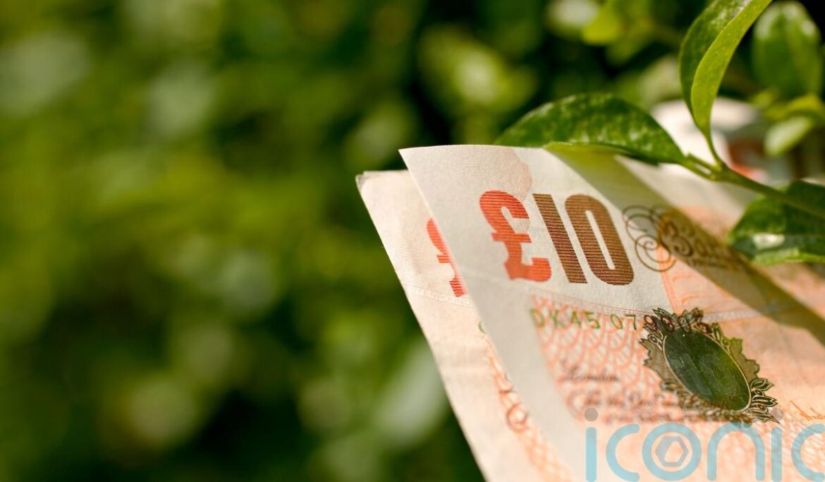 Money-saving tips for the thrifty gardener