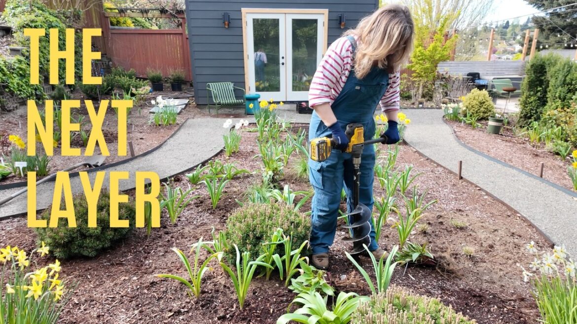 Designing a Modern Meadow: OG Grasses + Free Plants 🌱 Designing a Modern Meadow: OG Grasses + Free Plants 🌱