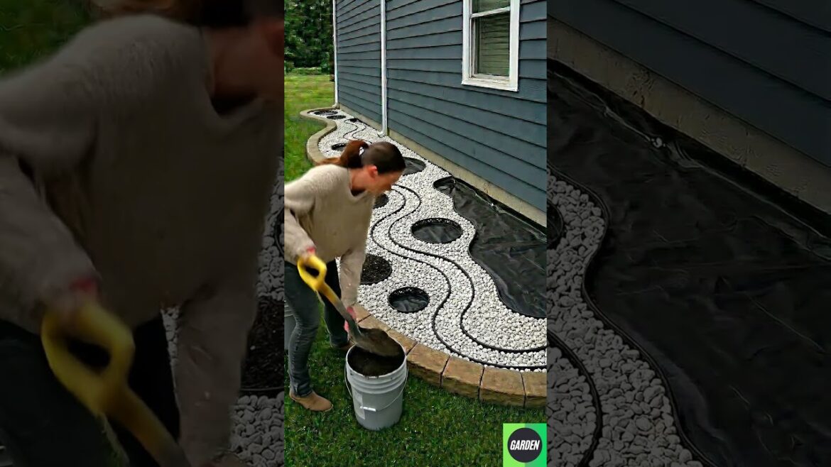 From Empty Ground to Modern Garden Transformation 🏡🔥 From Empty Ground to Modern Garden Transformation 🏡🔥