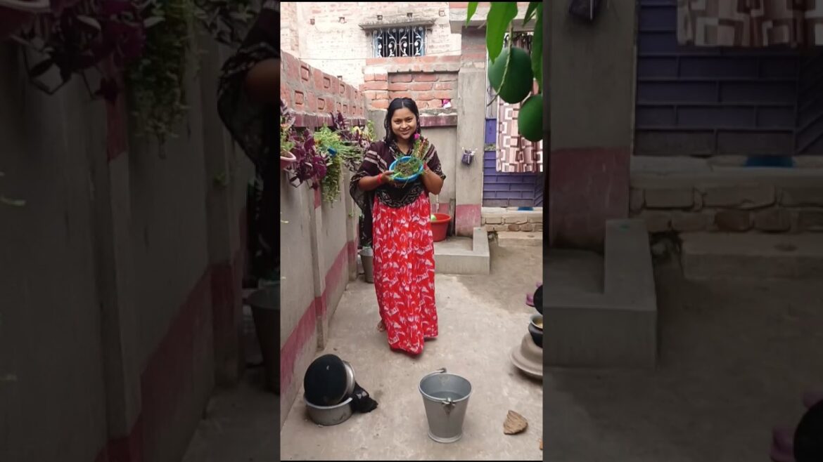 তোমাদের পর্তুলিকা গুলো কেমন আছে 🤔#minivlog #gardening #gardeningtips #plants