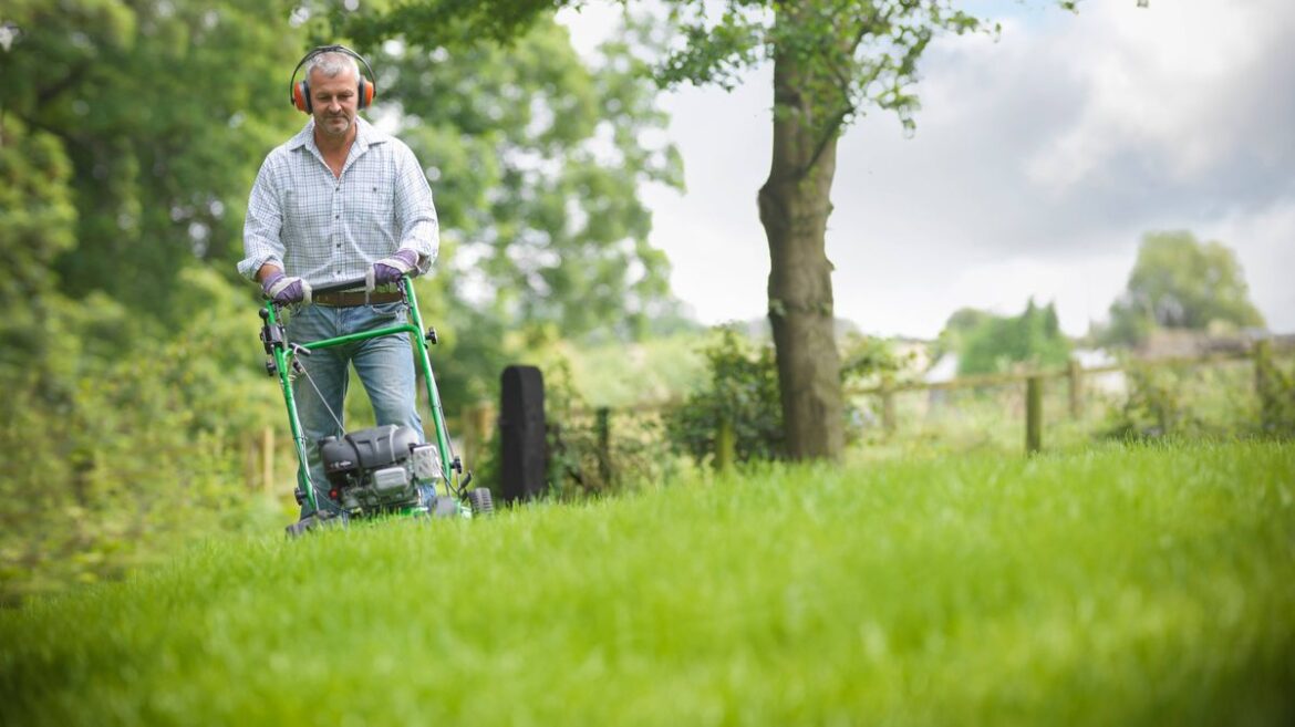 UK households with gardens told to stop mowing lawns until June date Yorkshire Live