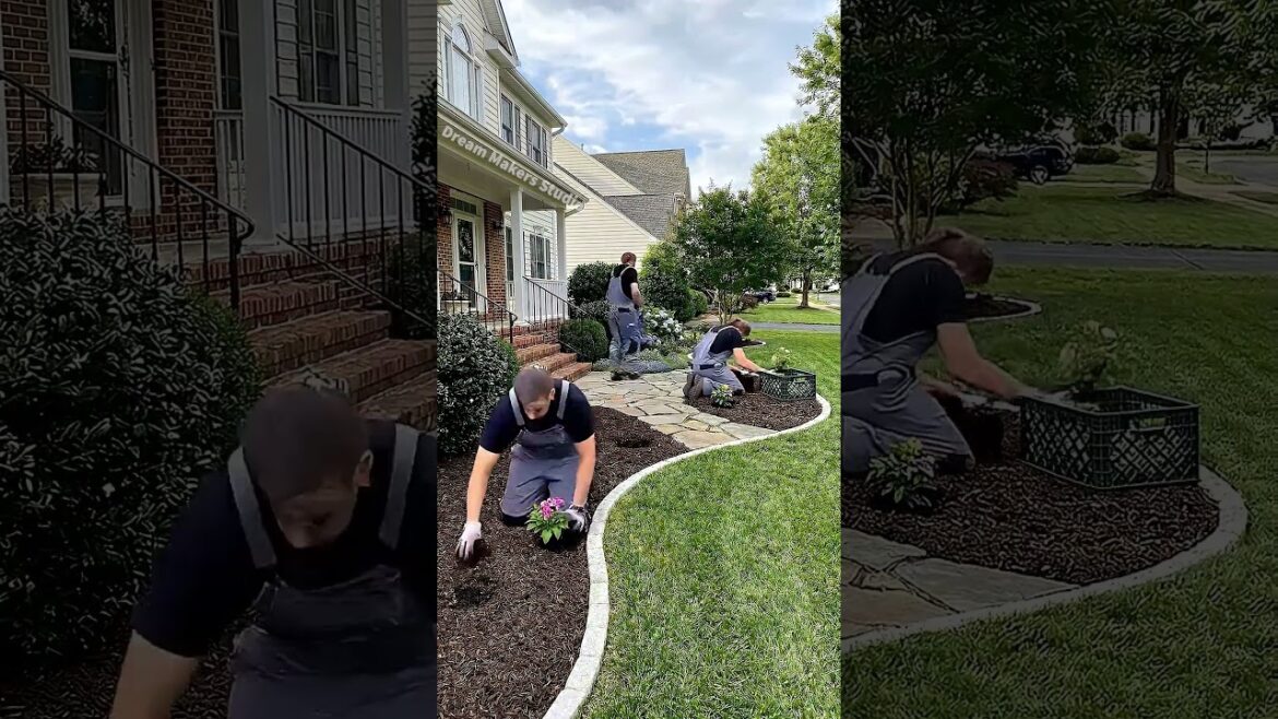 Dreamy Front Yard Transformation: English Garden Style 🏡 Dreamy Front Yard Transformation: English Garden Style 🏡