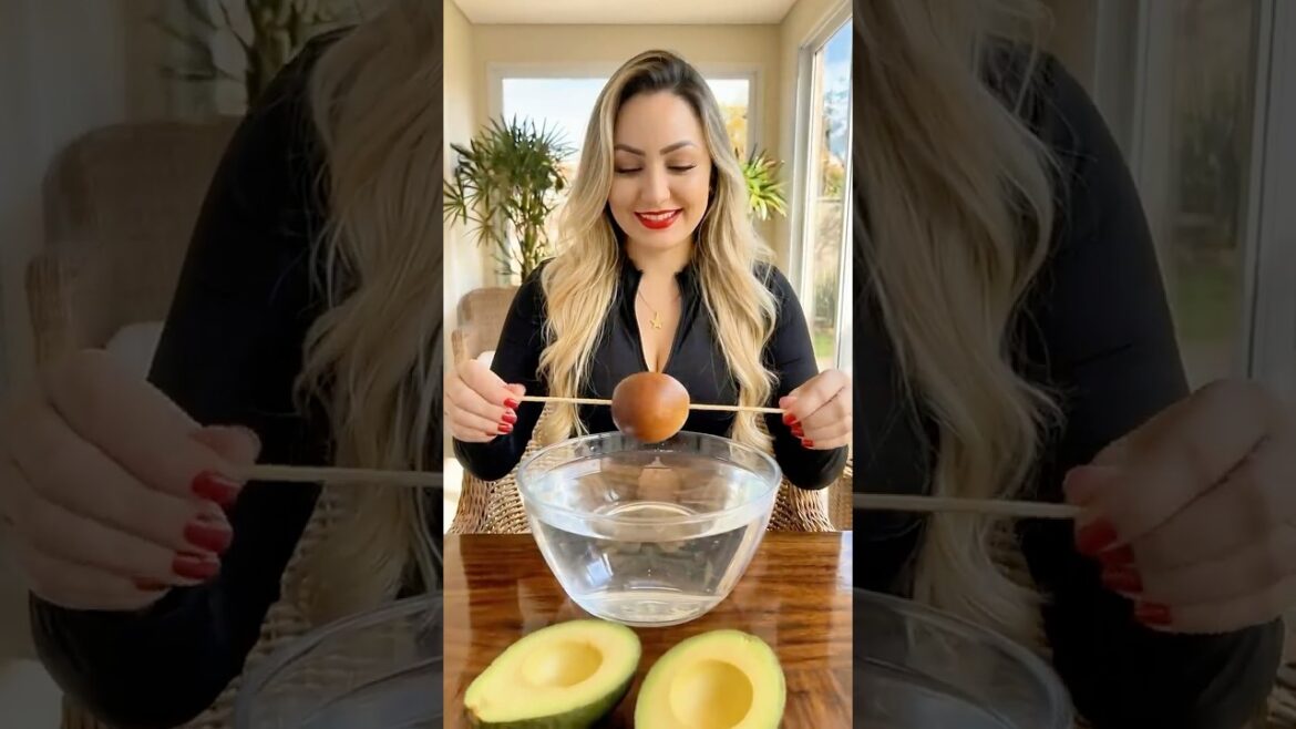 Grow Avocado from Seed in a Pot at Home | Easy DIY Garden Trick 🥑🥑🥑