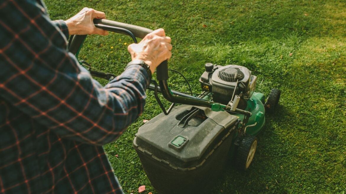 UK gardeners urged to sprinkle used coffee grounds in one important area Chronicle Live