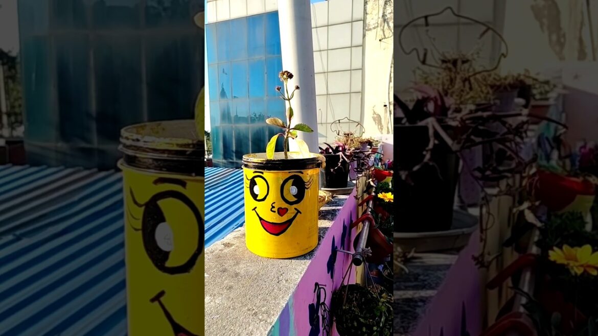 Best Diy Plastic Planter🪴👍#diy#diycraft#art#garden#tips#tricks#gardening#shorts#viral