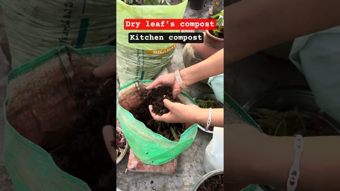ਫਲ-ਸਬਜੀਆ ਦੇ ਛਿਲਕਿਆ ਦੀ ਖਾਦ #kitchencompost #compost #garden #gardening #shorts @OrganicGardening1918 ਫਲ-ਸਬਜੀਆ ਦੇ ਛਿਲਕਿਆ ਦੀ ਖਾਦ #kitchencompost #compost #garden #gardening #shorts @OrganicGardening1918