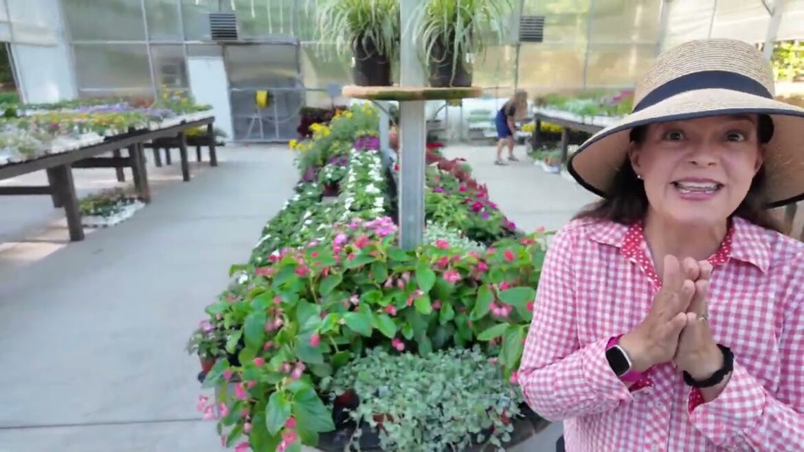 What I’d Plant Right Now (Heat-Proof Plants That Thrive All Summer!) What I’d Plant Right Now (Heat-Proof Plants That Thrive All Summer!)