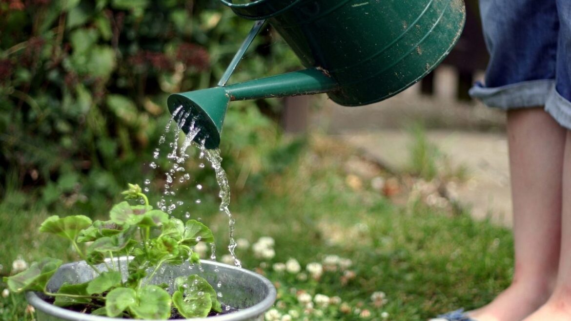 Alan Titchmarsh urges gardeners not to make vital watering mistake this spring Daily Mirror