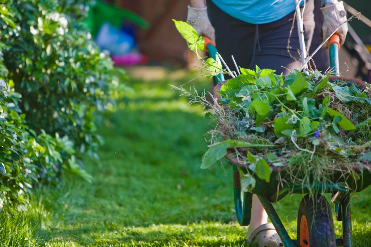 Close-up-of-a-gardener-hands-pushing-a-wheelbarrow-filled-with-weeds.jpg