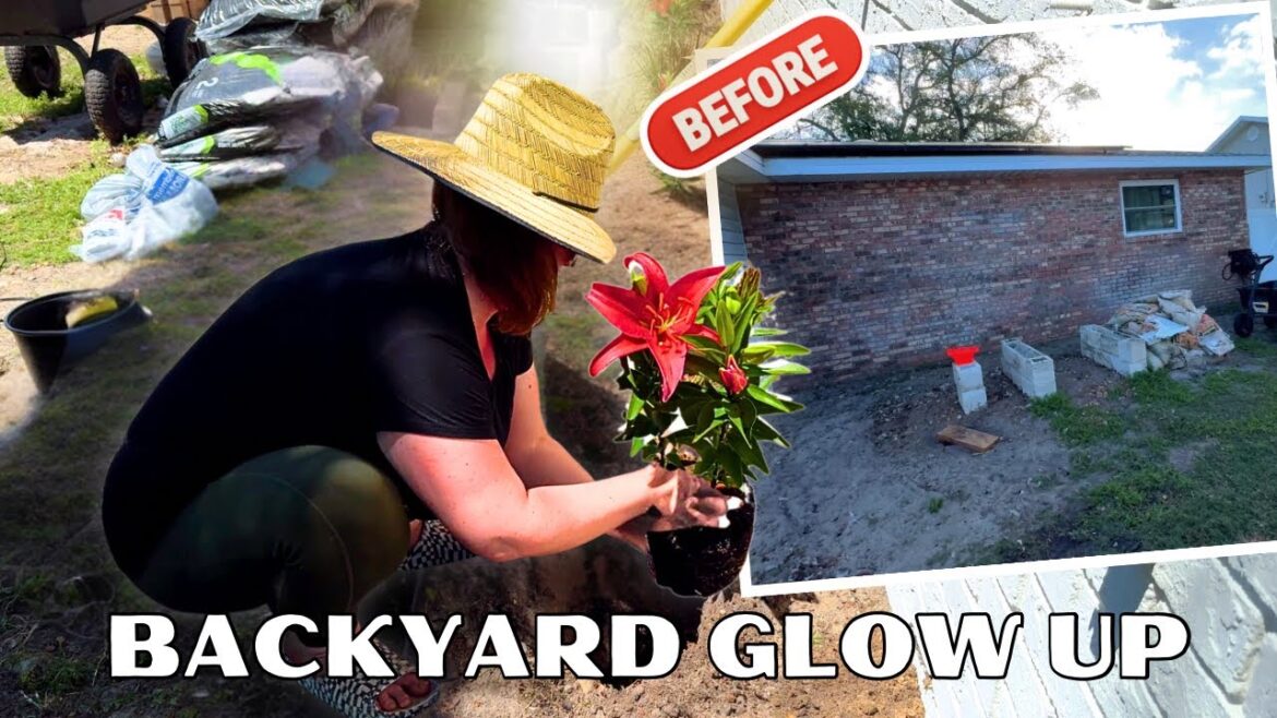 Giving our BORING backyard a Makeover on a BUDGET / DIY front yard landscaping project Giving our BORING backyard a Makeover on a BUDGET / DIY front yard landscaping project