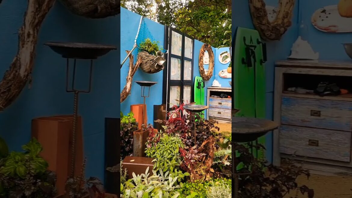 Small Backyard, Stunning Garden πΏπ» Small Backyard, Stunning Garden πΏπ»