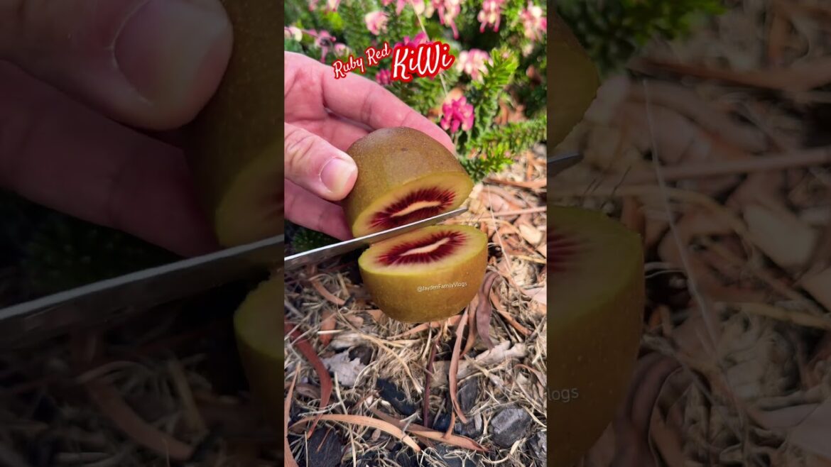Fruit Cutting Kiwi Ruby Red 😱 #shorts #satisfying #fruit #enjoy #garden