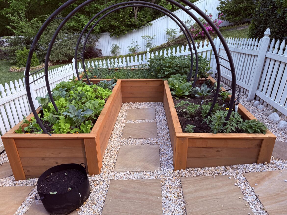 My first time building garden beds, how did I do?