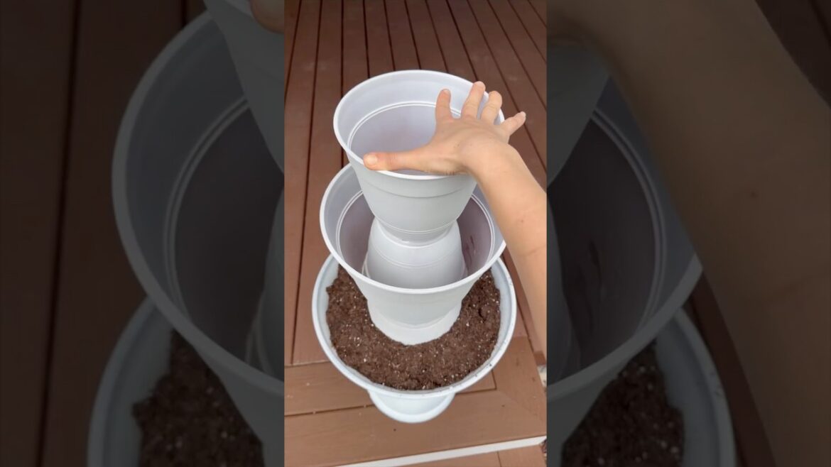 my porch needed this! ๐ my porch needed this! ๐