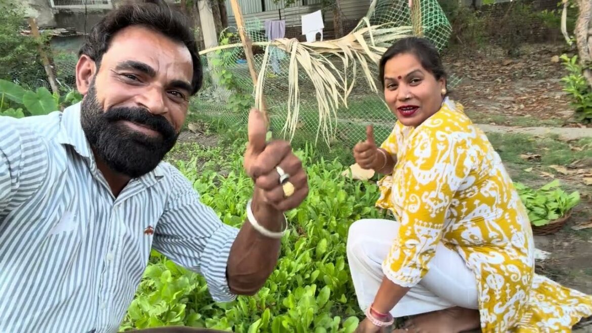 Part-3 vegetable gardening 👩‍🌾 😍#virelvideo #Panjab #trendingvideo #vegetables #vlogger #youtuber