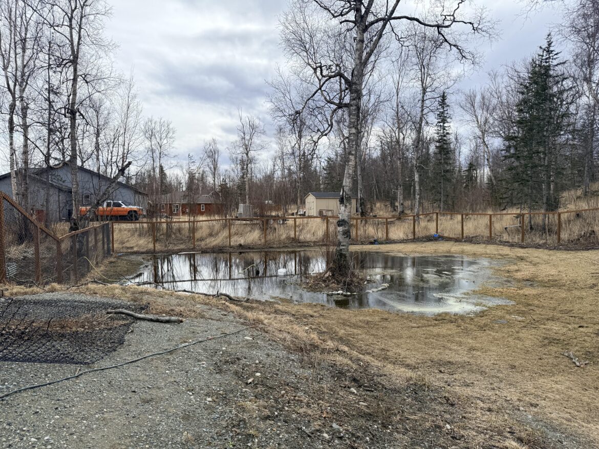 Is a rain garden a good solution for this? Is a rain garden a good solution for this?