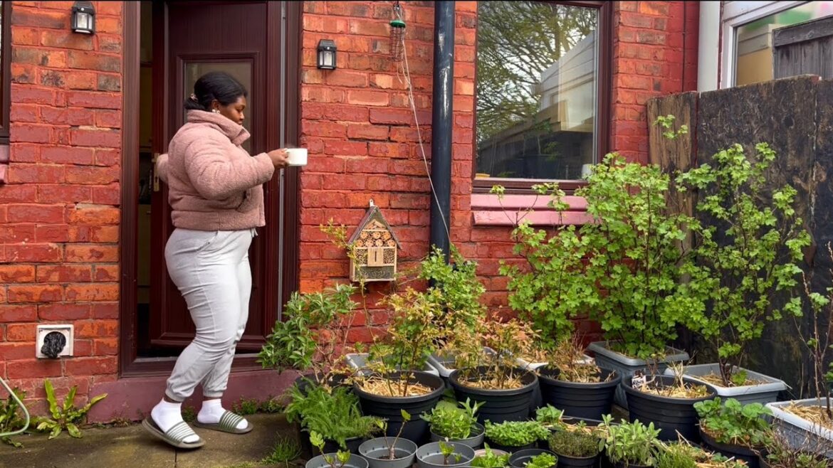 UK Spring Container Garden Tour – Week 1✨ UK Spring Container Garden Tour - Week 1✨