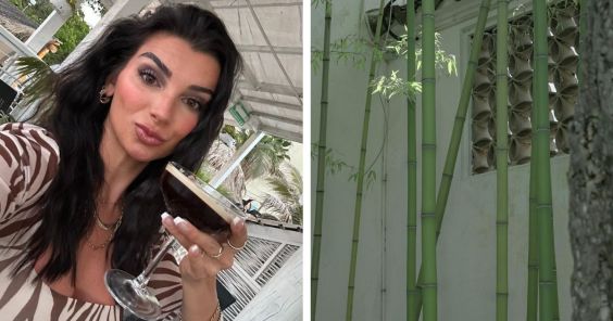 Texas Woman’s Neighbor Plants Bamboo Right by Her Foundation: “My Worst Homeowner Nightmare” Yahoo lifestyle home