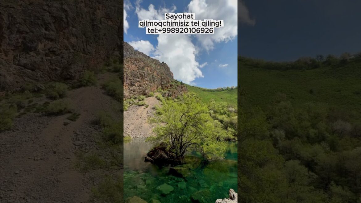 Sayohat xizmati tel : +998920106926 #camping #automobile #travel #trekking #glamping #nature Sayohat xizmati tel : +998920106926 #camping #automobile #travel #trekking #glamping #nature