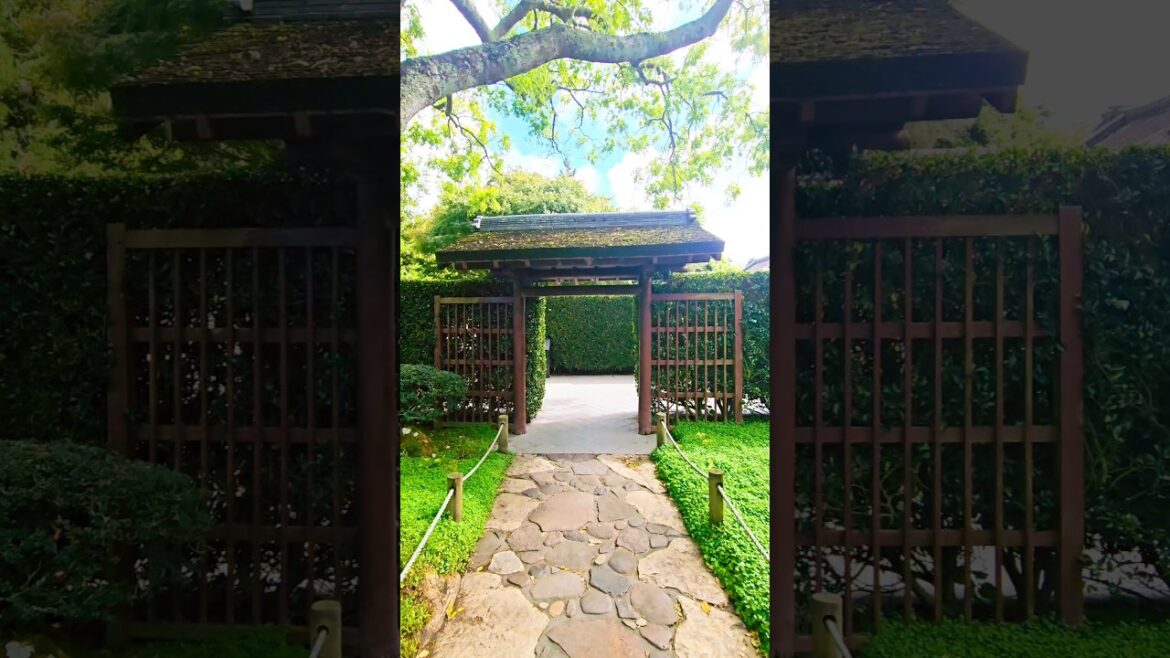 Japanese Garden #japan #garden #nature #love #shorts #video