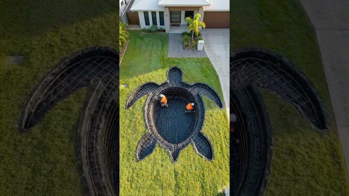 I Built a Giant Turtle Pond in My Front Yard