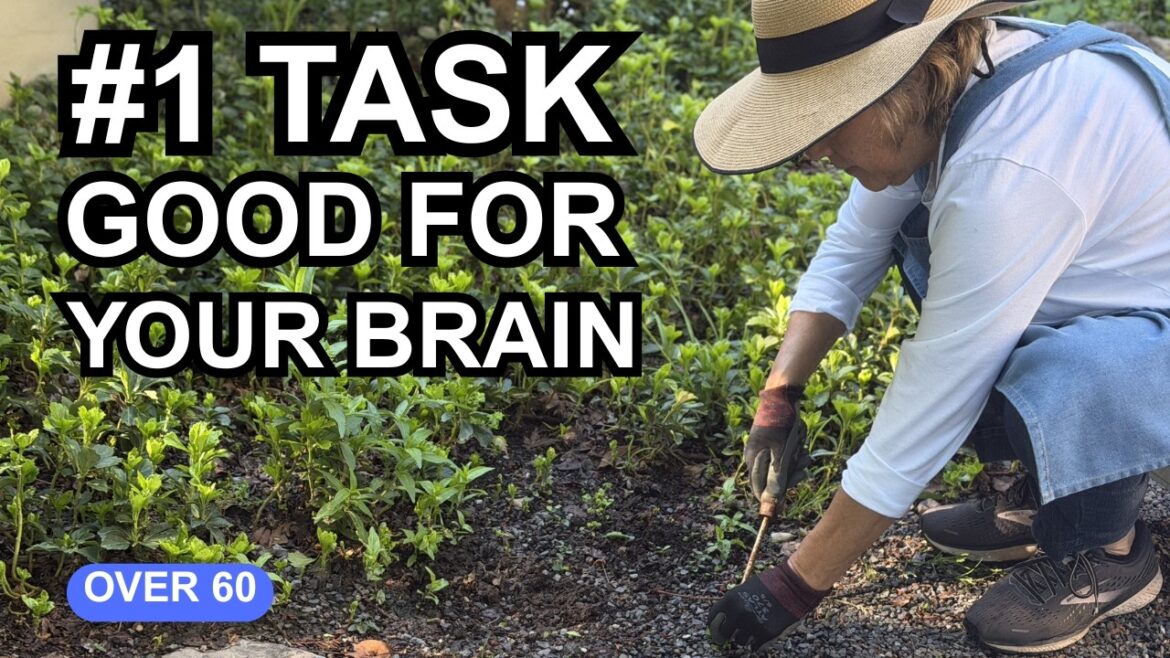 The #1 Gardening Task for a Healthy Brain – It’s Not What You Think The #1 Gardening Task for a Healthy Brain - It's Not What You Think