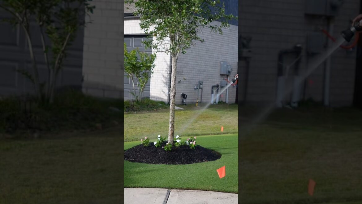Dont forget your pre emergent  for your mulch beds too.