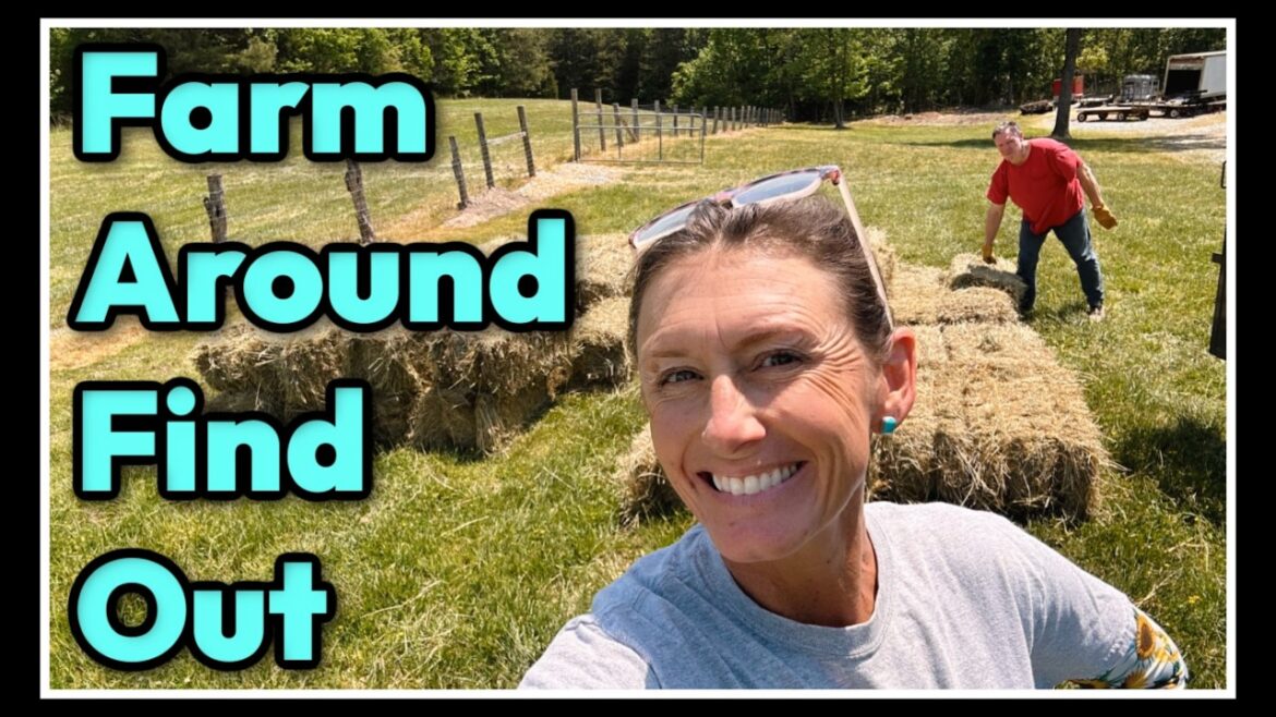 π©π»βπΎ Farm Around & Find Out ~ 2026 Farm Plans π©π»βπΎ Farm Around & Find Out ~ 2026 Farm Plans