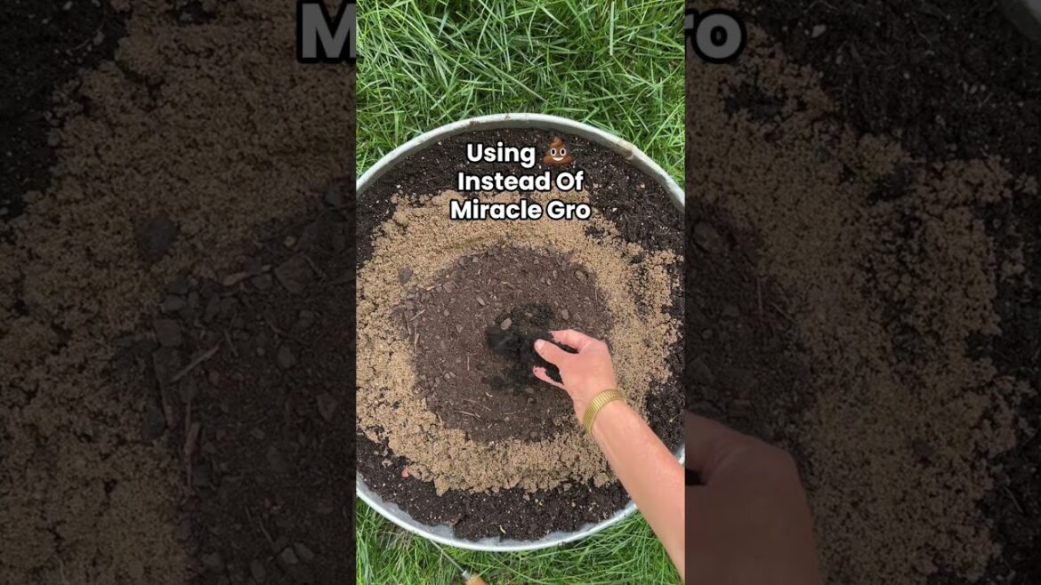 Some people might call me crazy but my garden definitely shows it works! #garden #gardenhacks