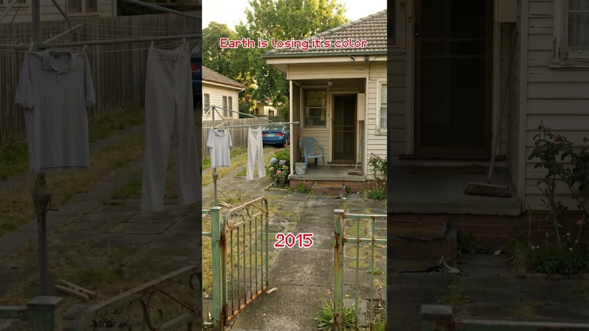 A quiet yard can say more about growing up than a whole photo album