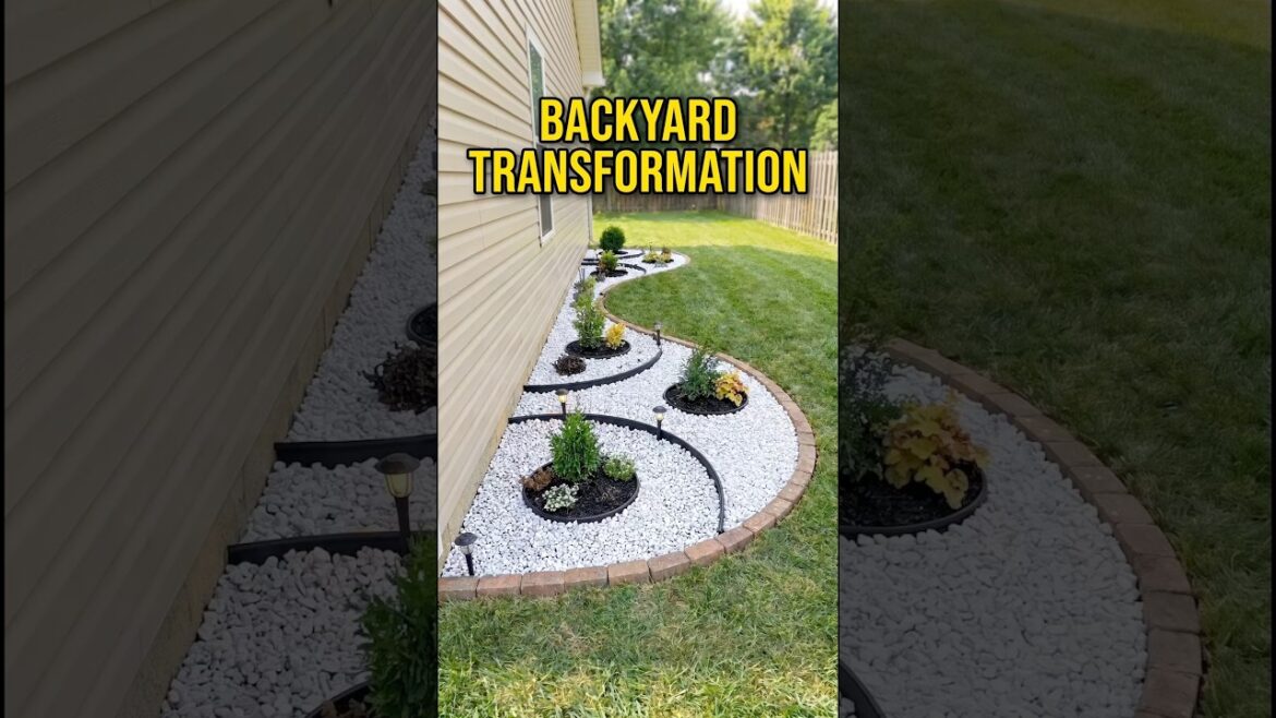Insane Backyard Landscape Transformation