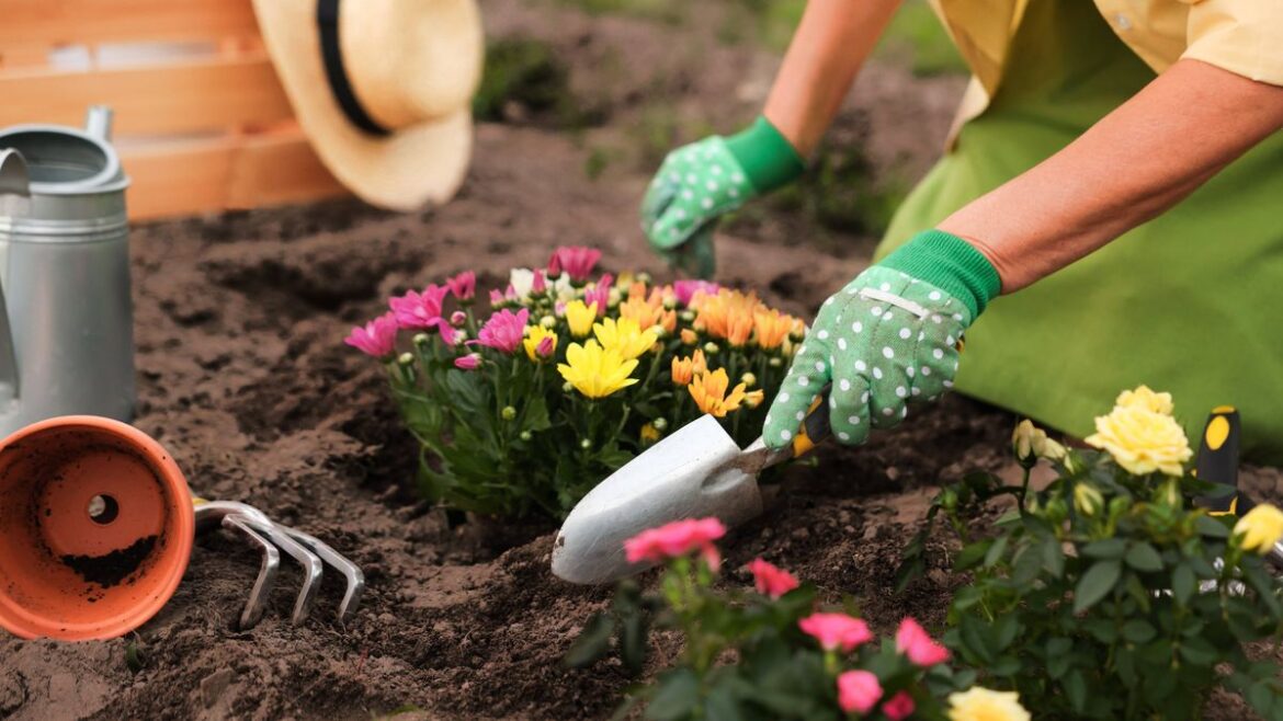All gardeners urged to plant 3 flowers in garden now for instant colour Daily Mirror
