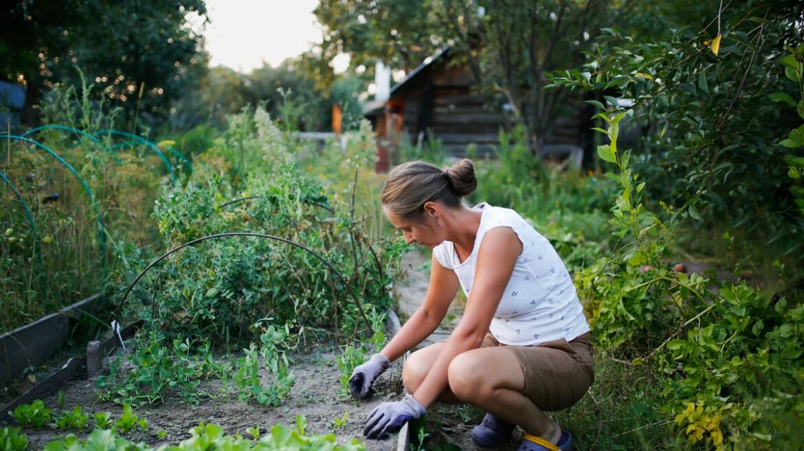 ‘I was a Royal Gardener, here’s how to get rid of weeds and keep your soil healthy’ RSVP Live