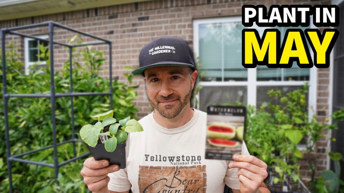 10 Awesome Crops You Should Plant in May RIGHT NOW!