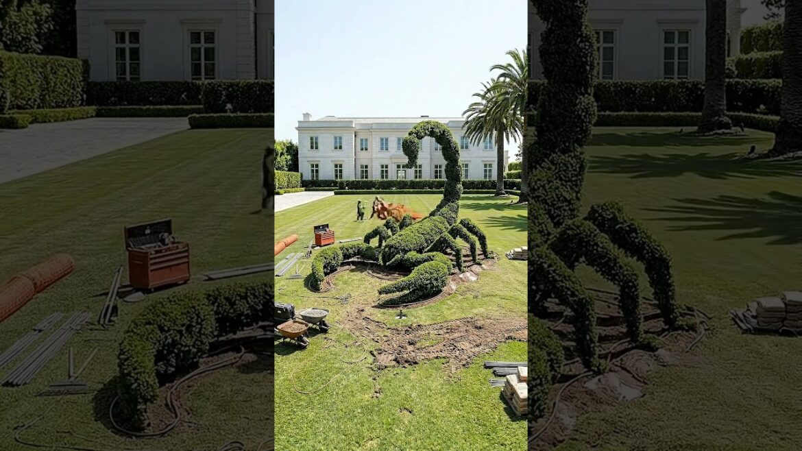 Building a GIANT Scorpion Topiary! π¦π³ #shorts #beforeandafter Building a GIANT Scorpion Topiary! π¦π³ #shorts #beforeandafter