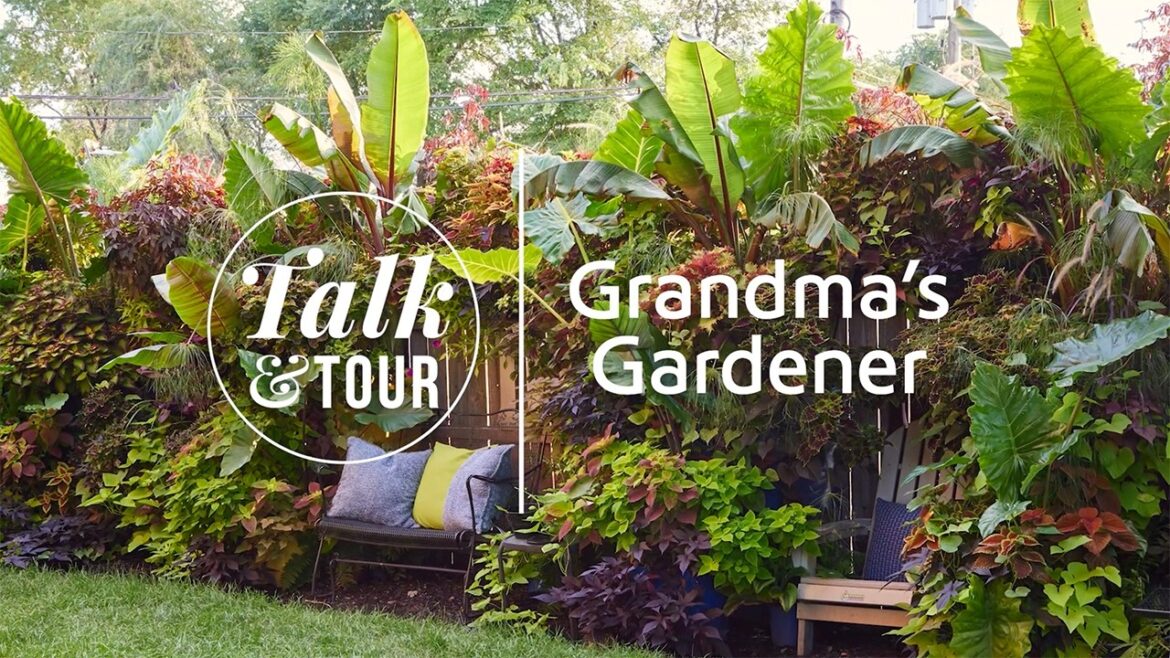 Beginner to Backyard Oasis: Chicago Gardener’s Stunning Container Garden Transformation Beginner to Backyard Oasis: Chicago Gardener’s Stunning Container Garden Transformation