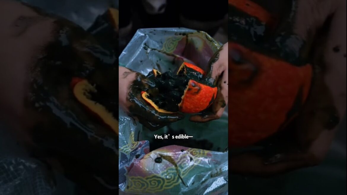 Can you eat this fruit? Can you eat this fruit?