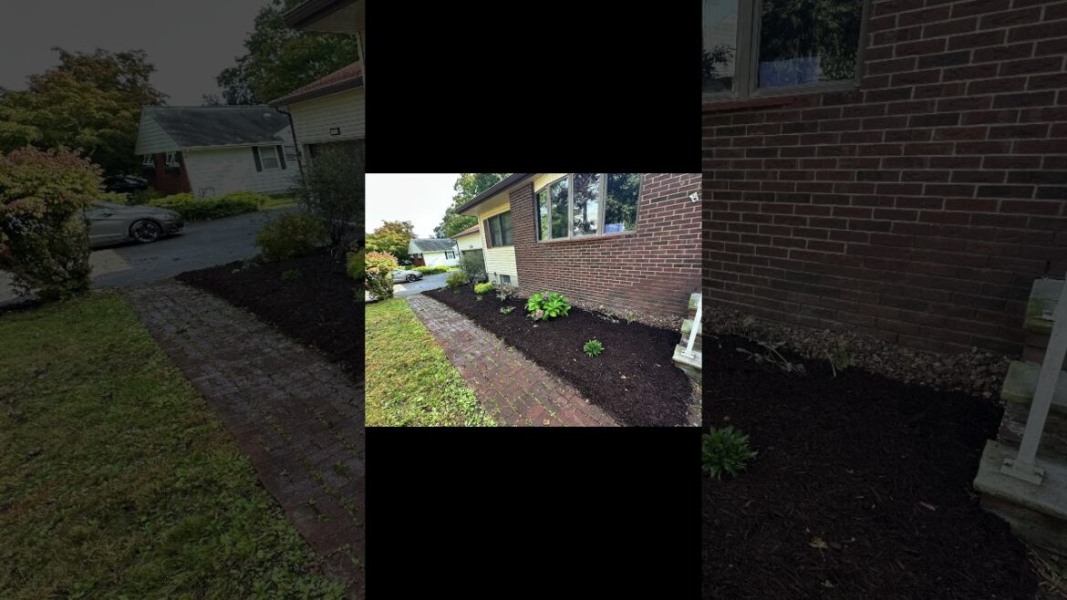 Front yard garden beds total revamp in Poughkeepsie, New York by Jillian’s Group LLC  Front yard garden beds total revamp in Poughkeepsie, New York by Jillian’s Group LLC 