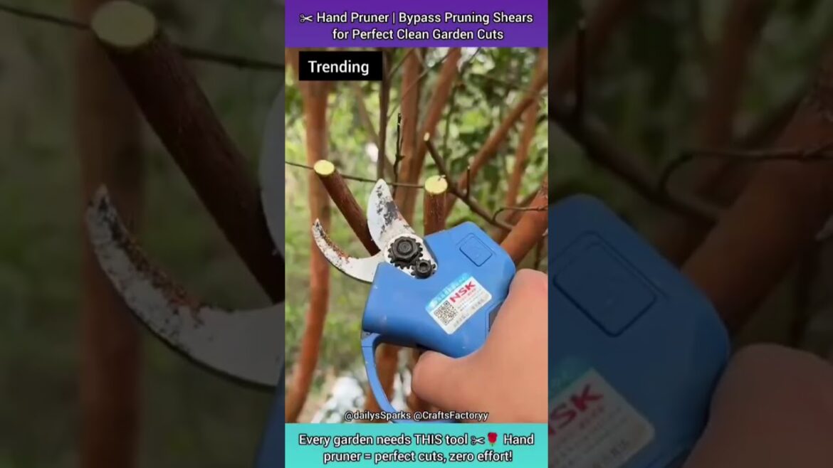 Every garden needs THIS tool ✂️🌹 Hand pruner = perfect cuts, zero effort! 👇 Every garden needs THIS tool ✂️🌹 Hand pruner = perfect cuts, zero effort! 👇
