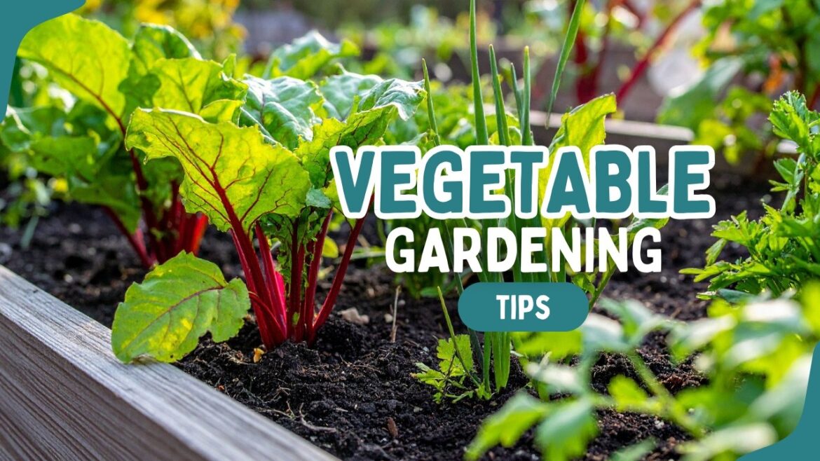 Vegetable Gardening in Colorado