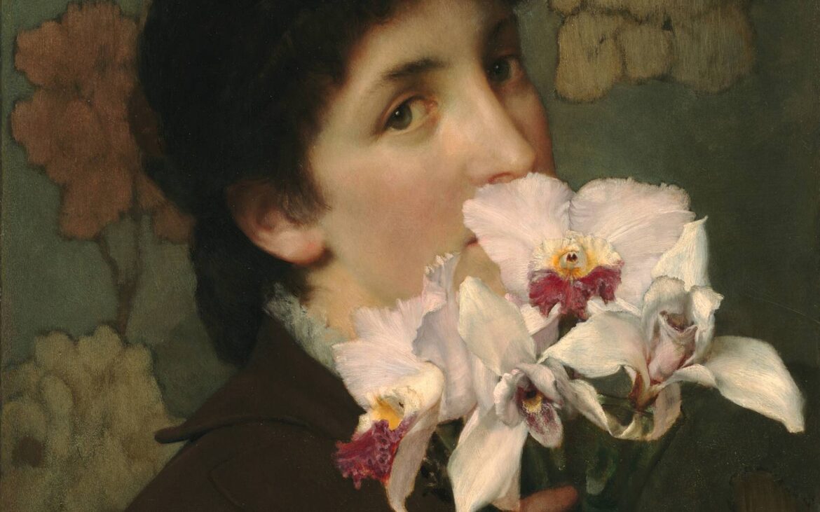 The plants that made the modern world The plants that made the modern world