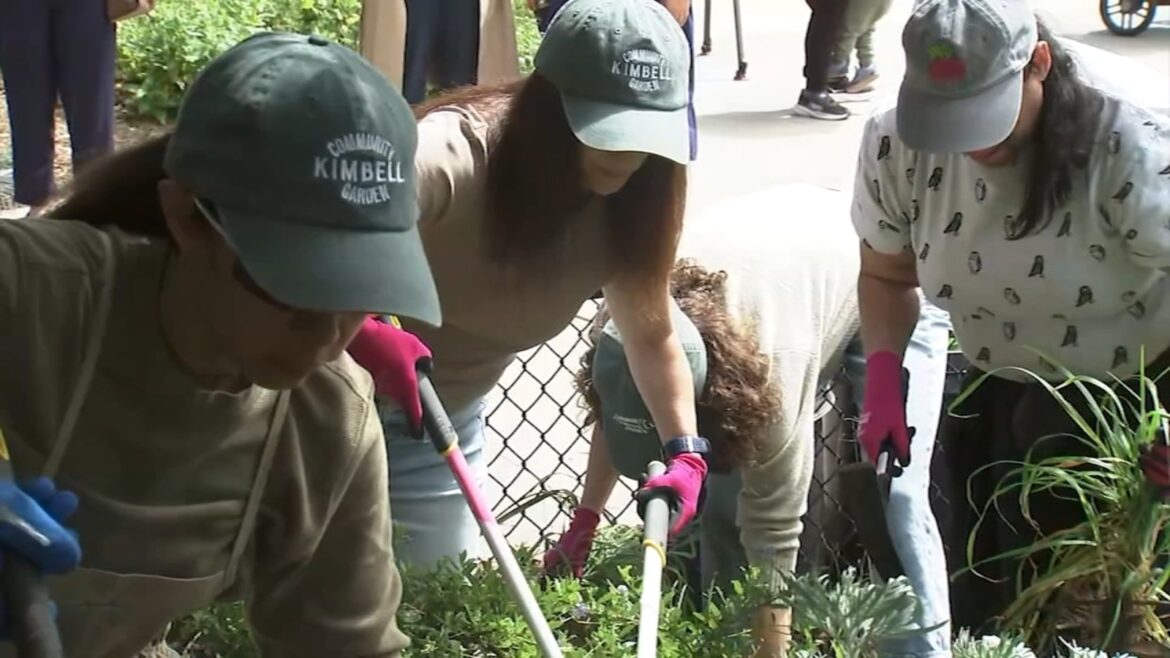 Community Challenge Grant: San Francisco gives $3.3 million to residents, nonprofits with projects to beautify the city Community Challenge Grant: San Francisco gives $3.3 million to residents, nonprofits with projects to beautify the city