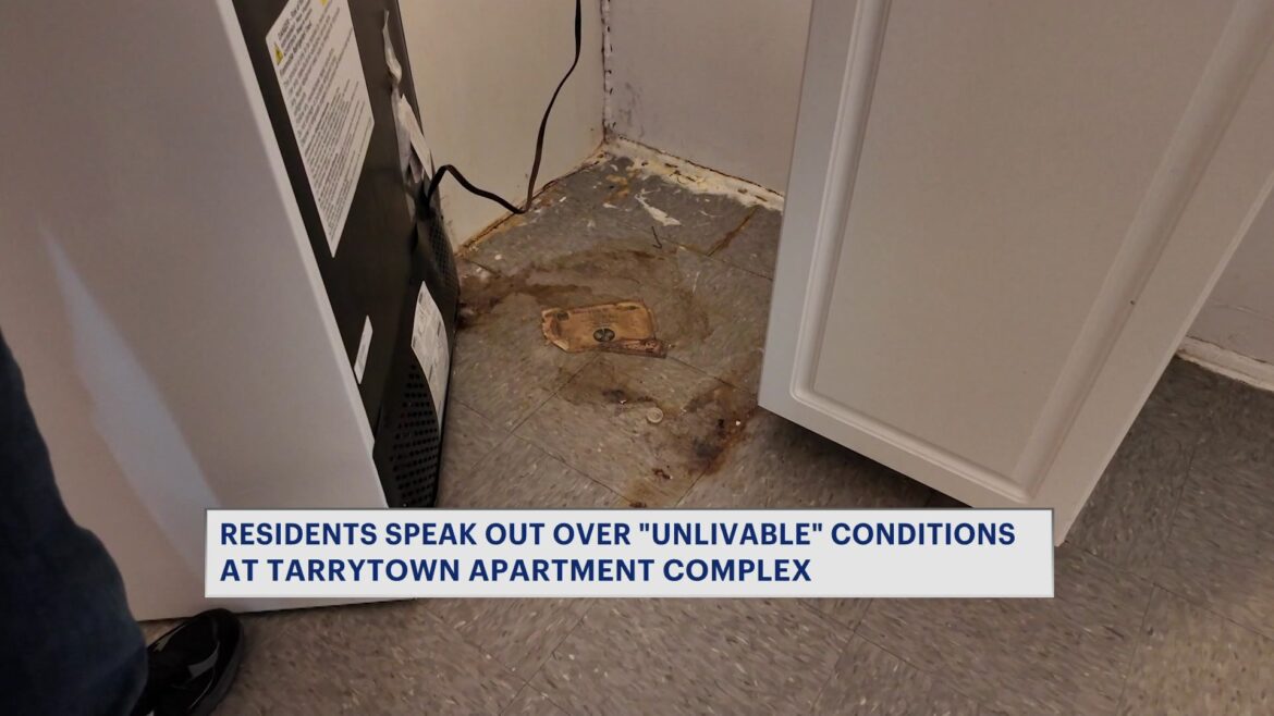 News 12 | Hudson Valley