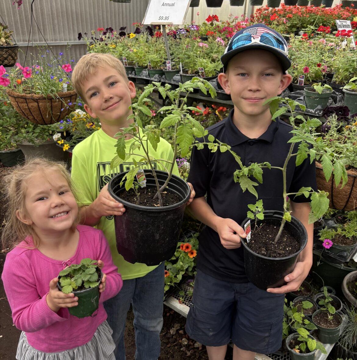 Gardening: Tomato season is right around the corner Gardening: Tomato season is right around the corner