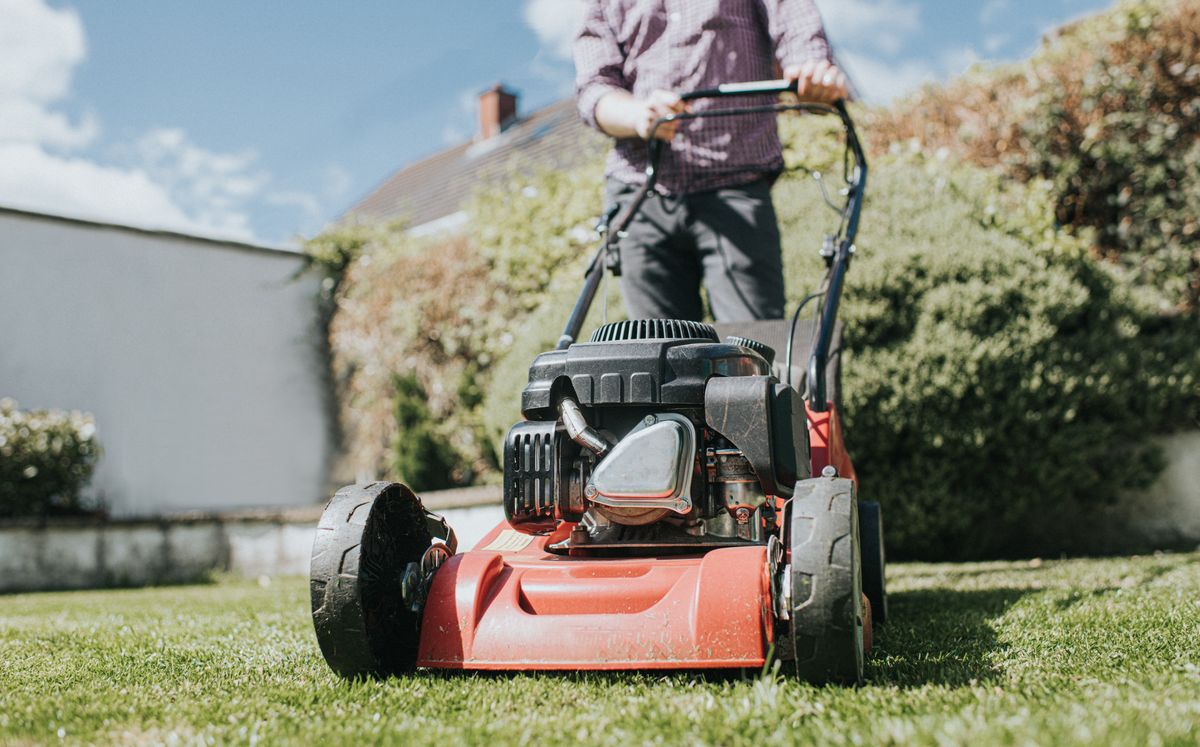 Gardeners have been issued key advice this spring