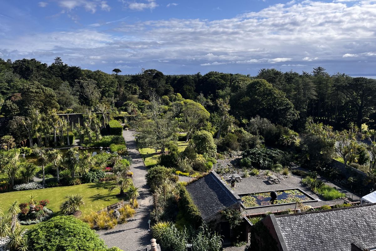 Aerial view of the garden