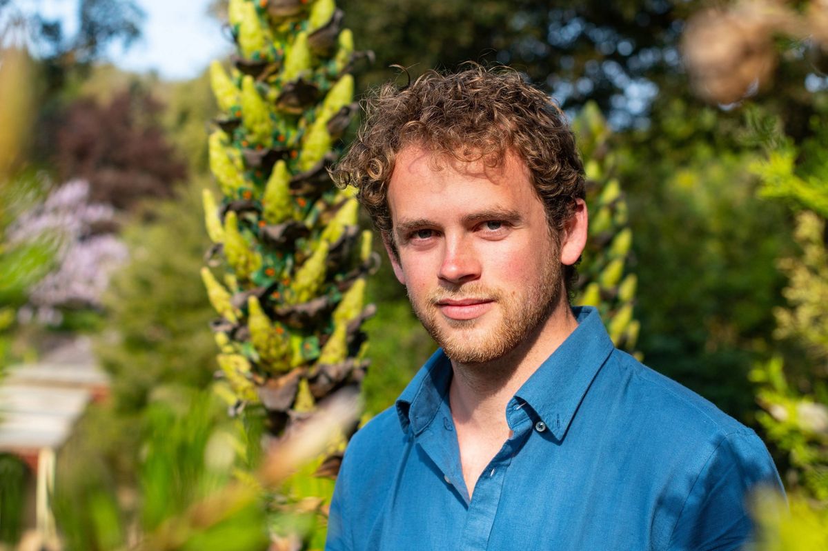 An individual wearing a blue shirt stands next to a tall plant in a garden setting. The background includes lush greenery and trees.